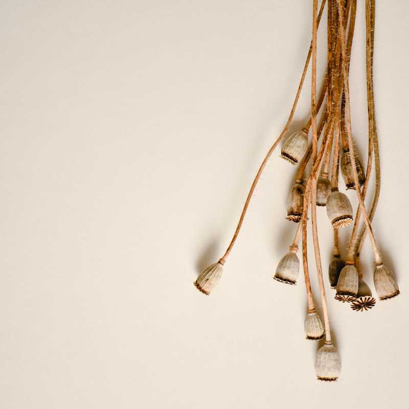 Más allá del&nbsp;obstáculo